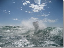 2009-03-21_14-20-35__Inverloch__Andre