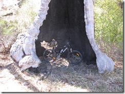 2009-04-08_11-20-45__Melrose__Lukas