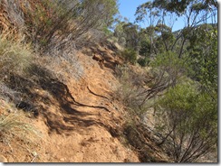 2009-04-08_14-44-43__Melrose__Lukas