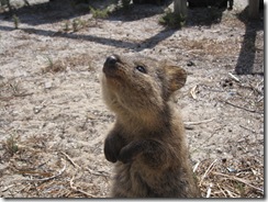 2009-04-20_11-45-22__Rottnest-Island__Lukas