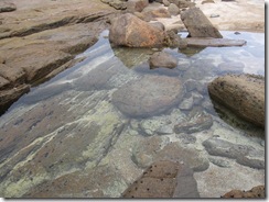 2009-04-23_12-37-35__Margret-River-to-Windy-Beach__Lukas
