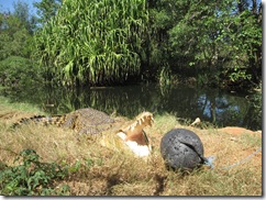 2009-05-18_11-46-51__Wildlife-Park-Broome__Lukas