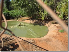 2009-05-18_11-59-09__Wildlife-Park-Broome__Lukas